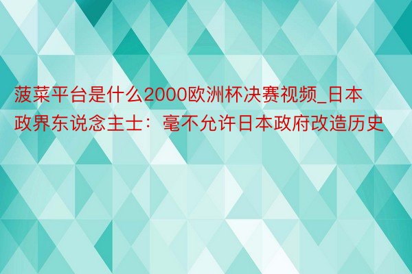 菠菜平台是什么2000欧洲杯决赛视频_日本政界东说念主士：毫不允许日本政府改造历史